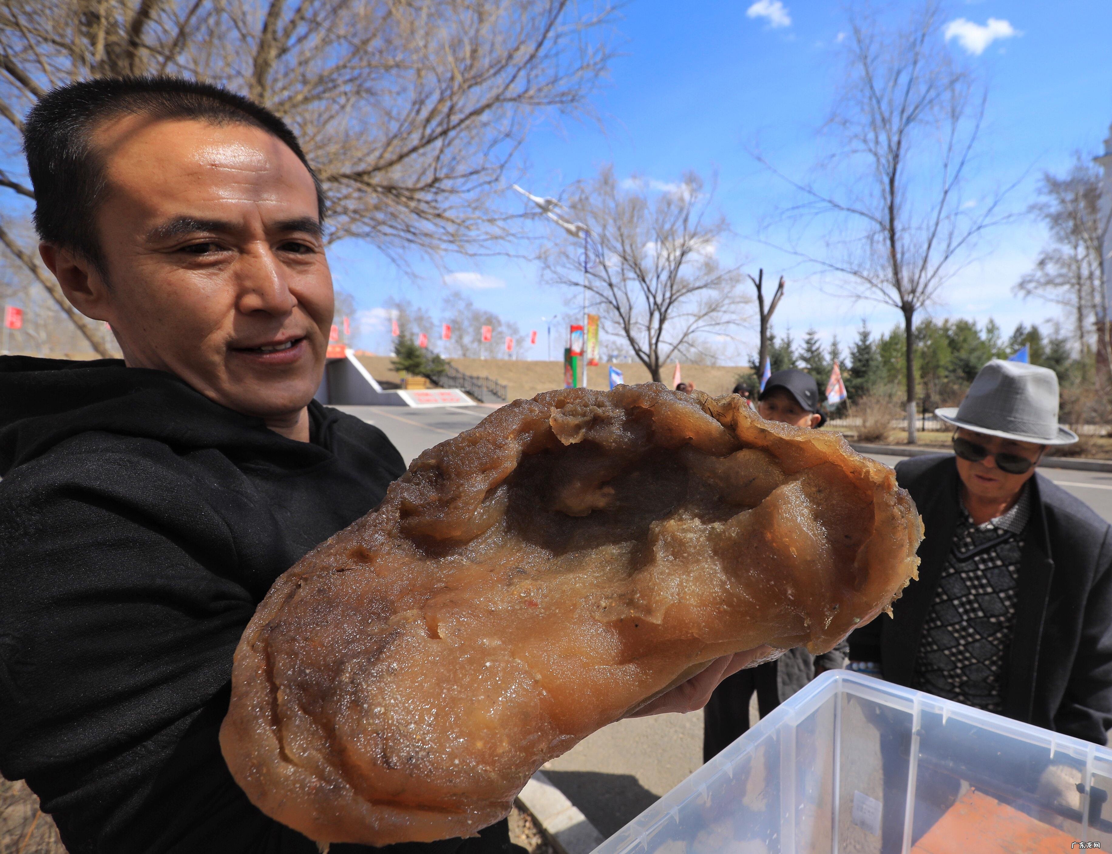 “太岁”究竟是什么?为什么有人说“太岁”的生长违背了自然规律?