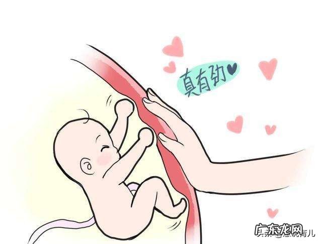 孕妈妈怎样检查自己的胎动?胎儿一般什么时候会胎动?为什么会胎动?