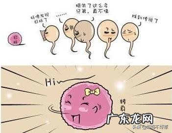 想怀孕最好方法是什么?