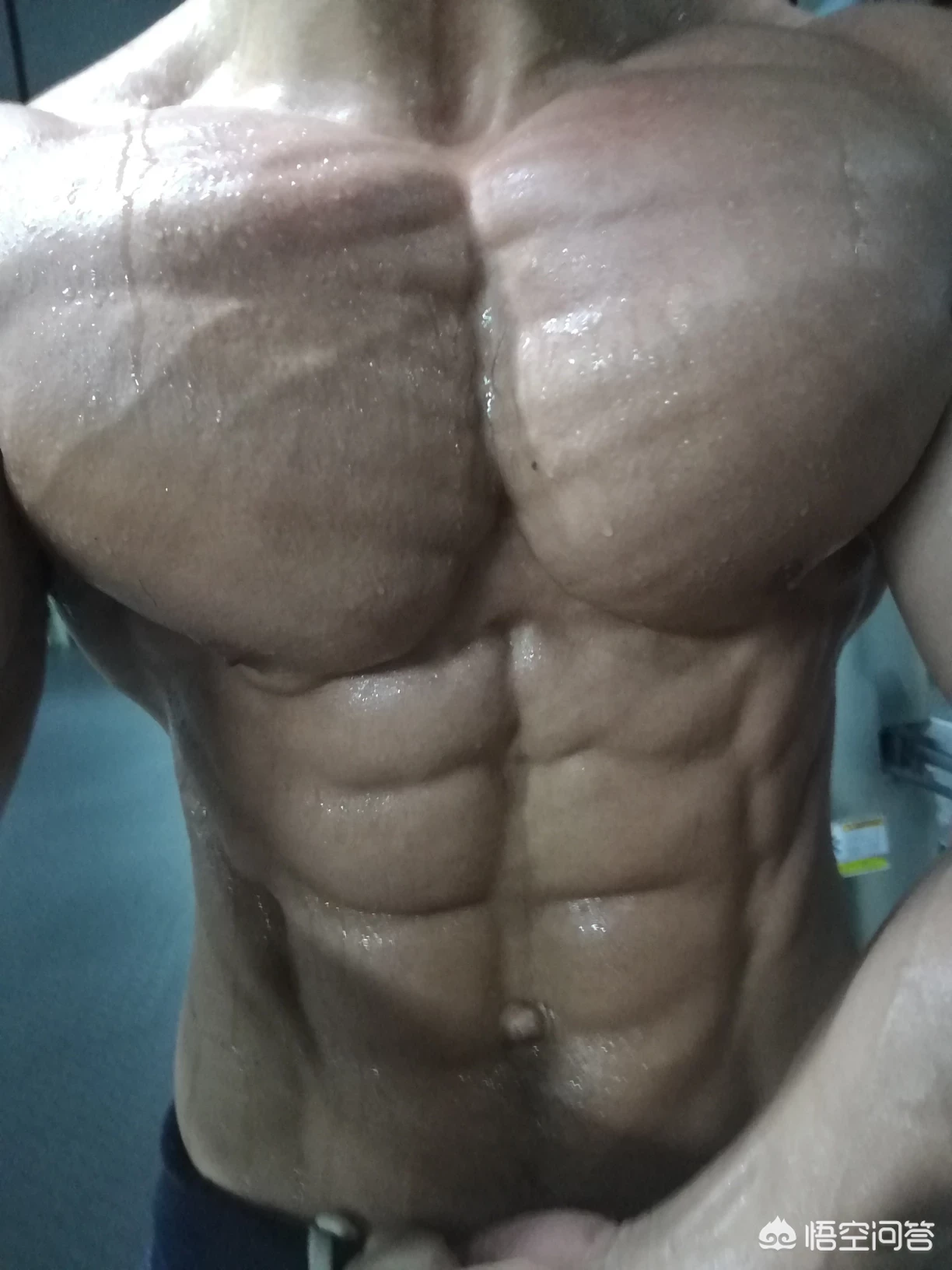 你们健身的动力从何而来?