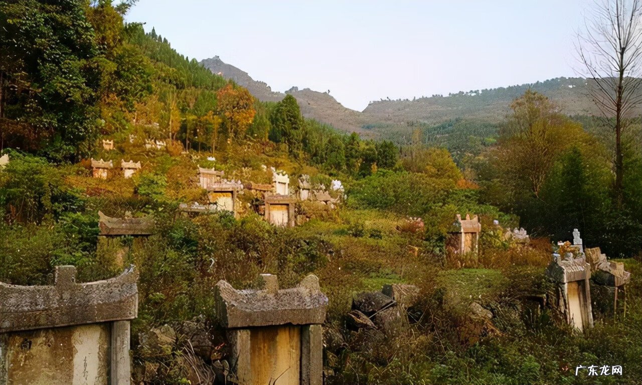 坟地选在长竹子地方好吗 坟墓上出竹子风水好吗