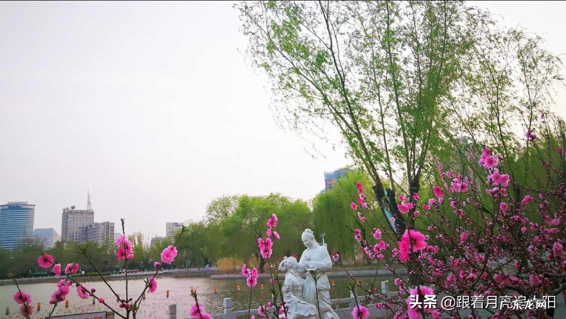 喜欢拿着手机一路随拍,记录沿途美景让人沉醉的那一刻…如果你也喜欢能一起分享下吗?