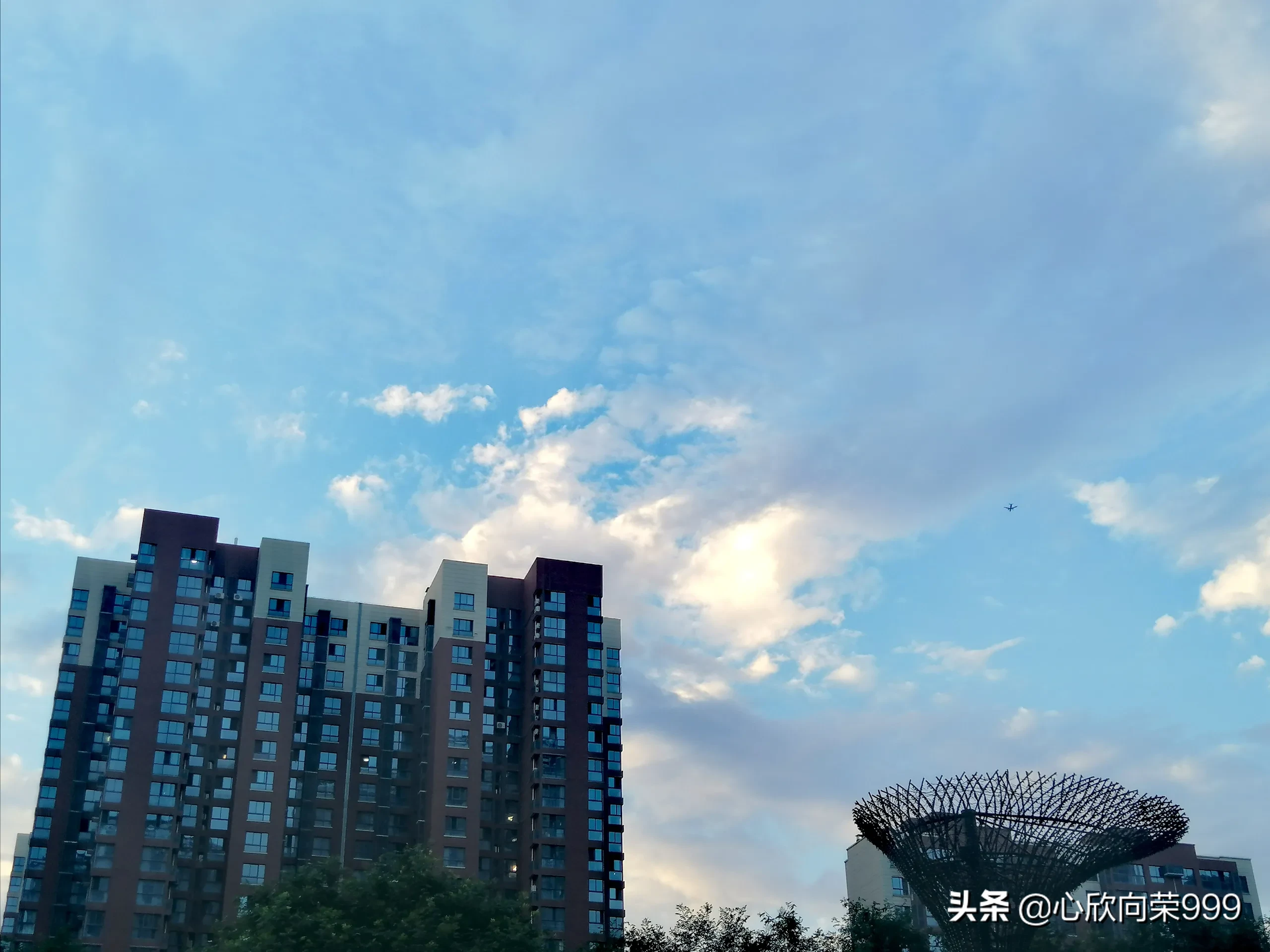 喜欢拿着手机一路随拍,记录沿途美景让人沉醉的那一刻…如果你也喜欢能一起分享下吗?