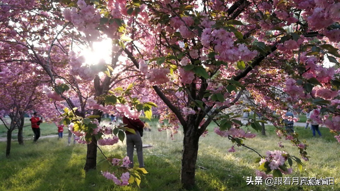 喜欢拿着手机一路随拍,记录沿途美景让人沉醉的那一刻…如果你也喜欢能一起分享下吗?