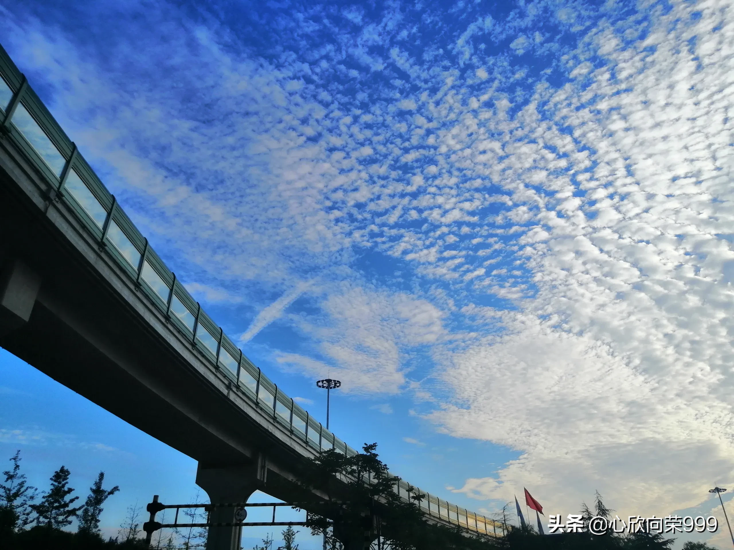 喜欢拿着手机一路随拍,记录沿途美景让人沉醉的那一刻…如果你也喜欢能一起分享下吗?