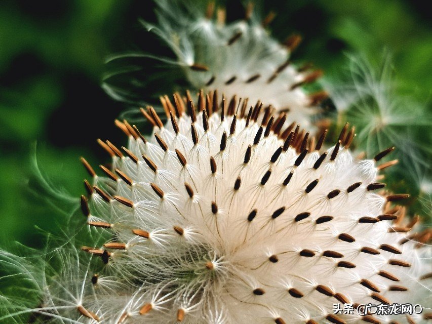 喜欢拿着手机一路随拍,记录沿途美景让人沉醉的那一刻…如果你也喜欢能一起分享下吗?