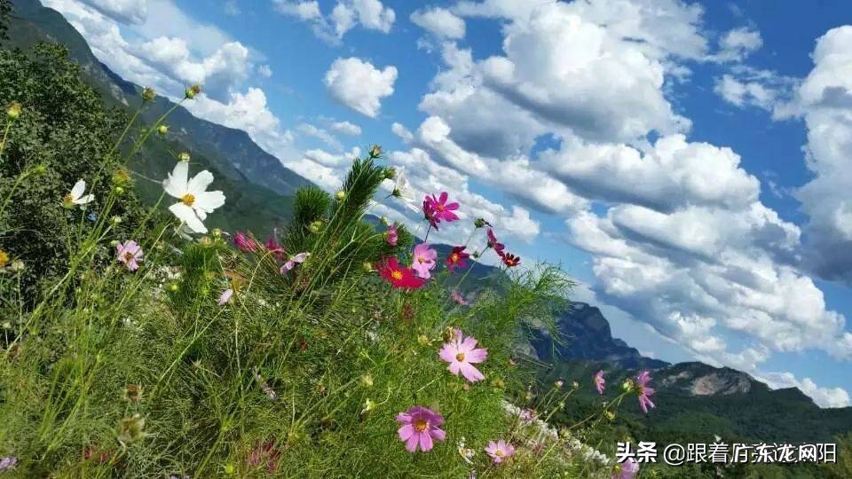 喜欢拿着手机一路随拍,记录沿途美景让人沉醉的那一刻…如果你也喜欢能一起分享下吗?