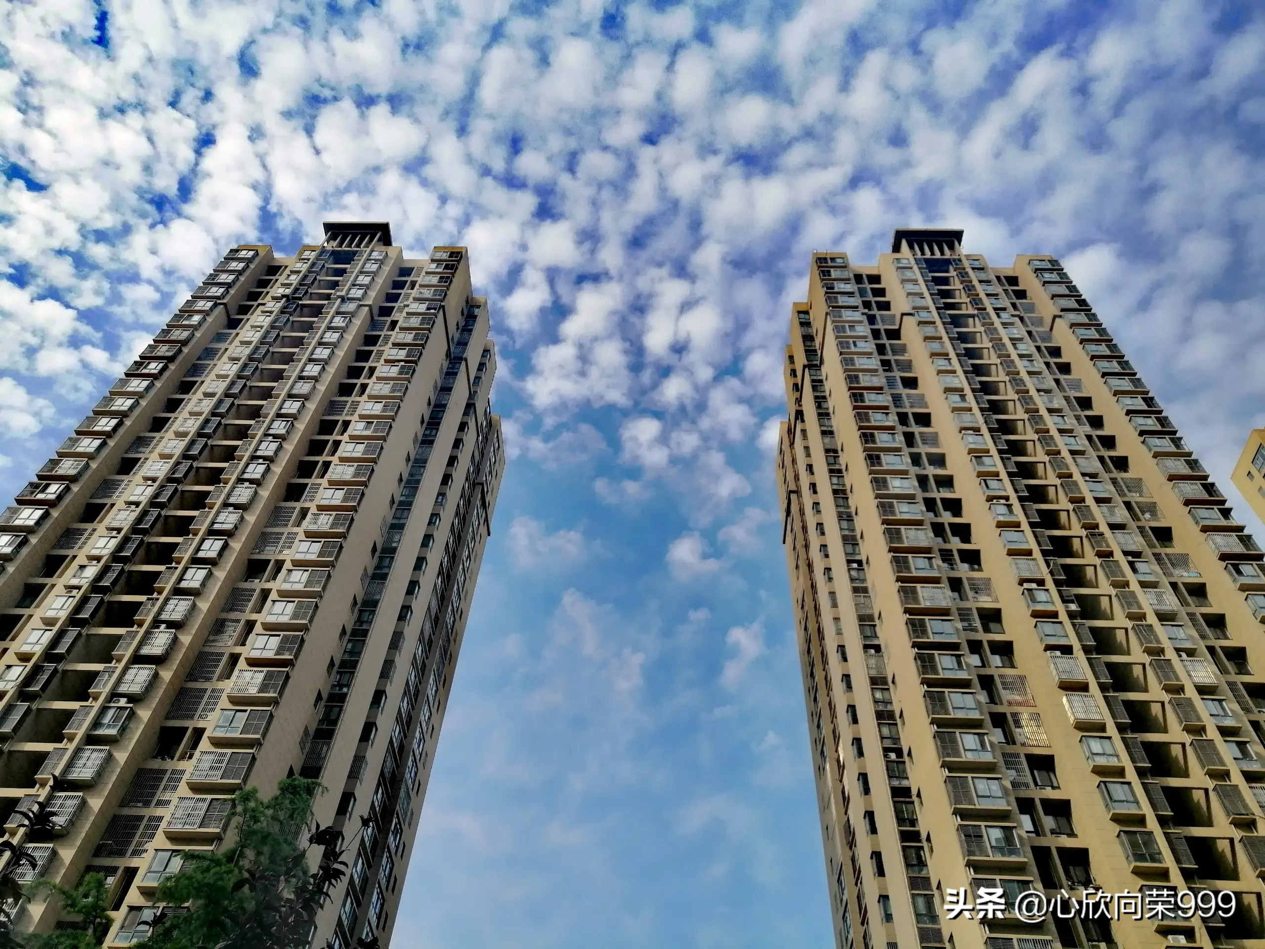 喜欢拿着手机一路随拍,记录沿途美景让人沉醉的那一刻…如果你也喜欢能一起分享下吗?