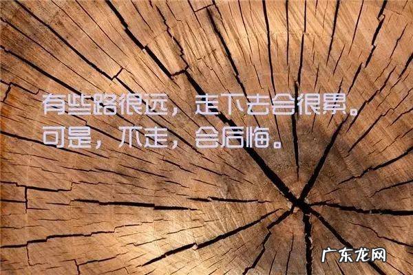 如果看见老人跌倒在地,是拿手机拍个照再扶他,还是看看有没有监控再扶他,还是扬长而去?