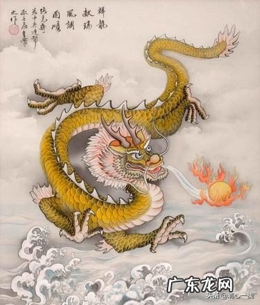 属龙的人直觉准吗?