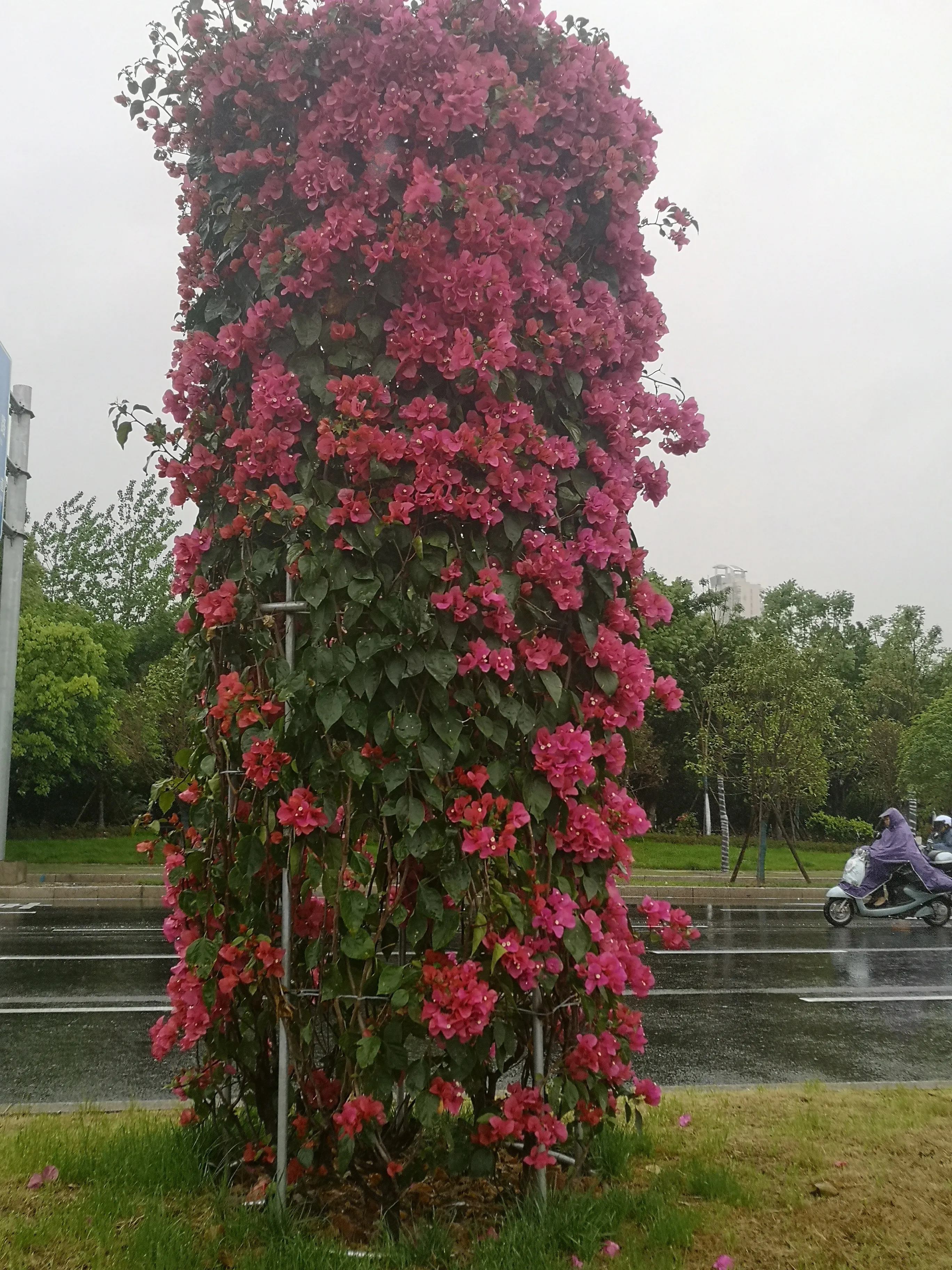 与人相处，“过来人”的哪些“教训”，越早知道越好？