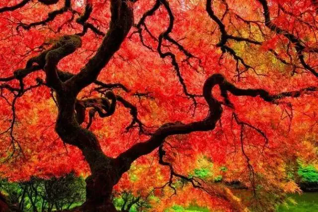 与人相处，“过来人”的哪些“教训”，越早知道越好？