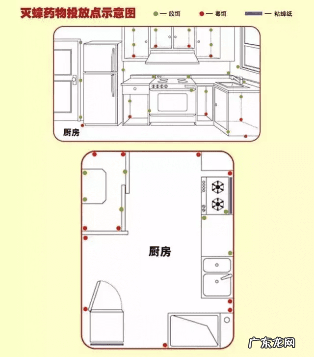 蟑螂忽然消失是什么征兆 家里蟑螂突然变多预示着
