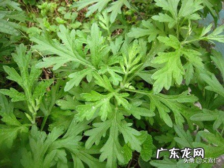 如何正确泡脚,有什么好处呢?