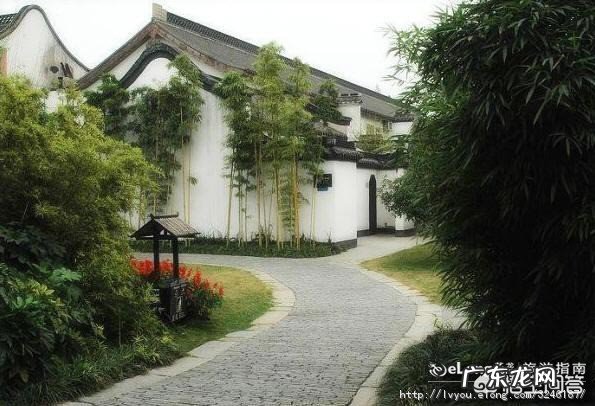 三、四月份想去扬州，有哪些建议可以分享？