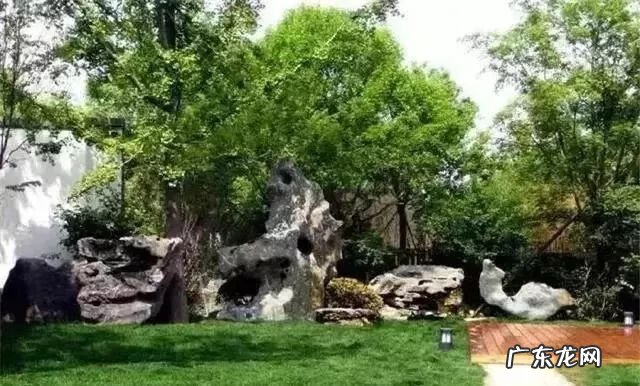 楼梯拐角放什么植物好 建筑拐角的地方要种高大乔木风水