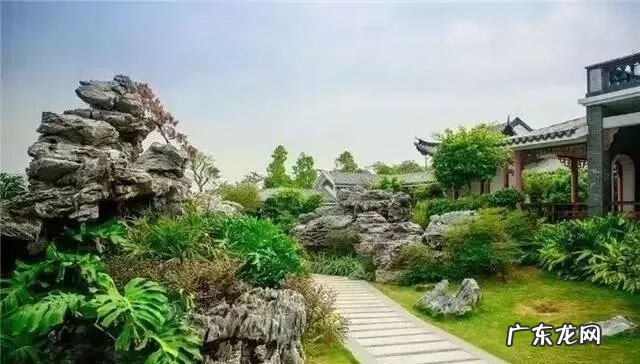 楼梯拐角放什么植物好 建筑拐角的地方要种高大乔木风水