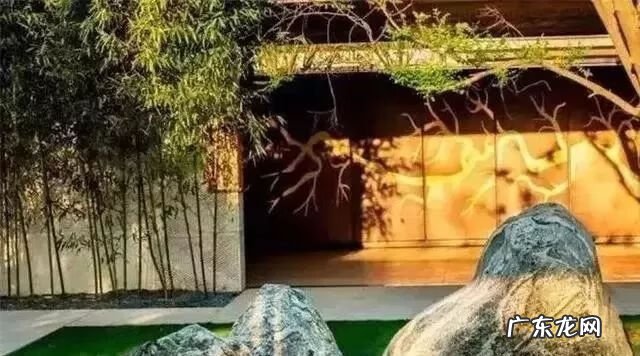 楼梯拐角放什么植物好 建筑拐角的地方要种高大乔木风水