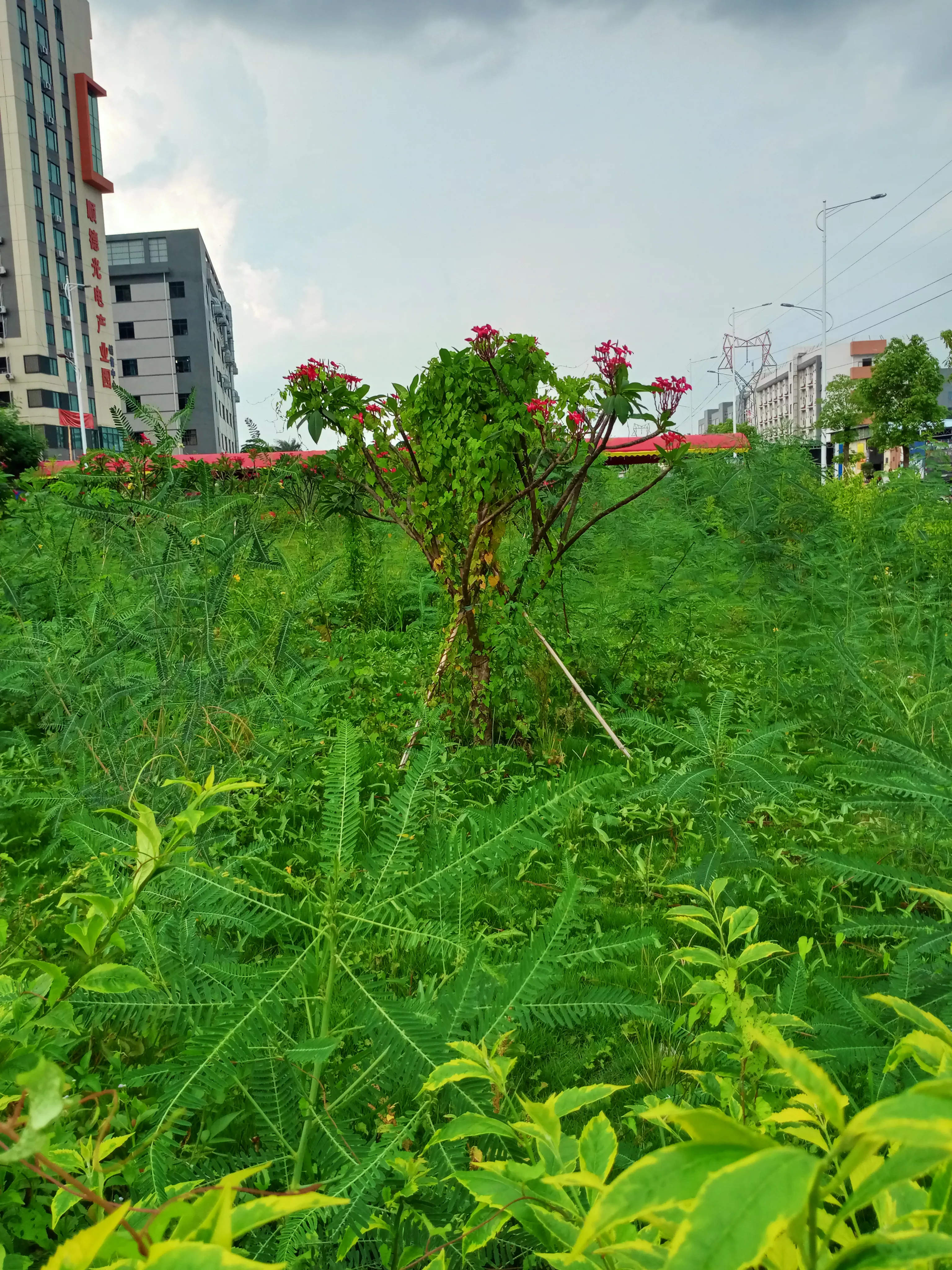 怎样评价自己的父亲?