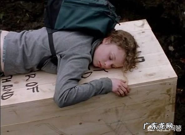 怎样评价《风雨哈佛路》这部片子?