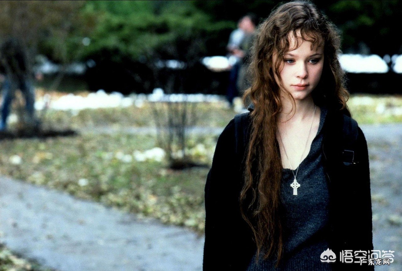 怎样评价《风雨哈佛路》这部片子?