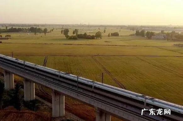 疯狂原始人简介 疯狂原始人1