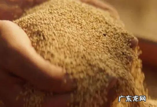 疯狂原始人简介 疯狂原始人1