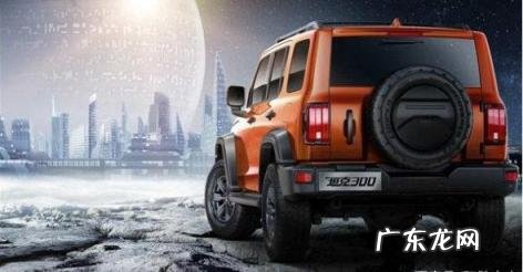 20万左右的越野车有哪些的车有哪些 车上避雷吗