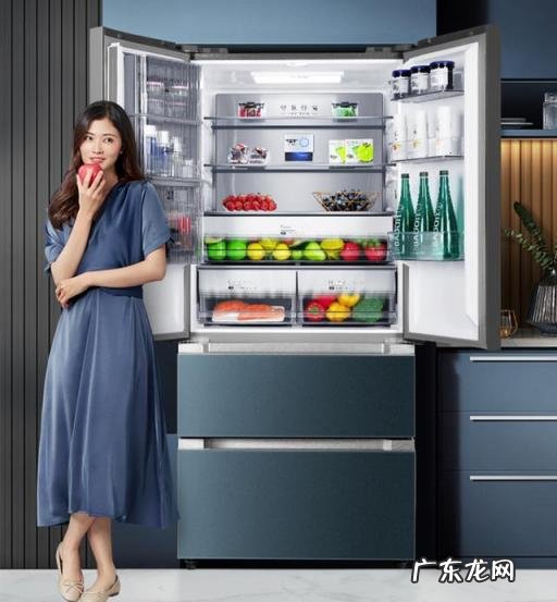 冰箱哪个牌子好 最新十大排名 什么牌子的冰箱性能好