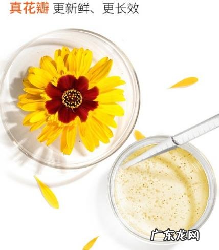 狗狗漱口水排名 哪个牌子的宠物漱口水比较好用