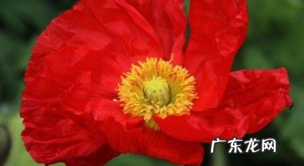 聪明小三如何开口要钱 聪明小三如何开口要钱让男人觉得合理