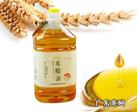 米糠油怎么吃 米糠油的成分