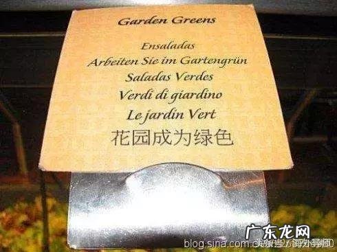 get infection getbored造句