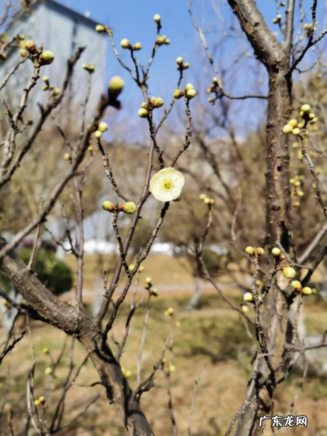 2022年风水 2022年5月风水