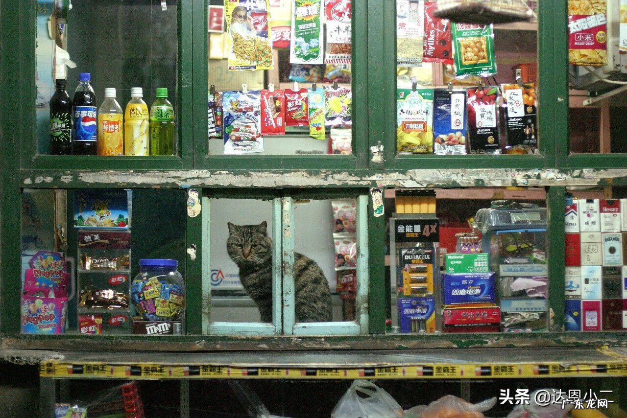 从事风水方面的店名 什么百货店店名比较有风水