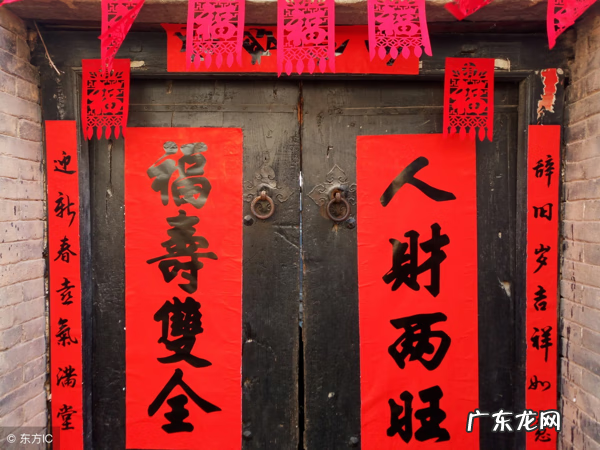 新年新景新气象打一生肖 新年生肖家居风水疑问