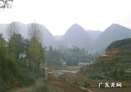 中国龙的形象 龙的风水图