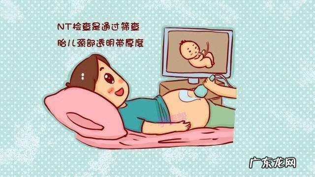 怀孕3个月胎儿图 怀孕三个月胎儿图片