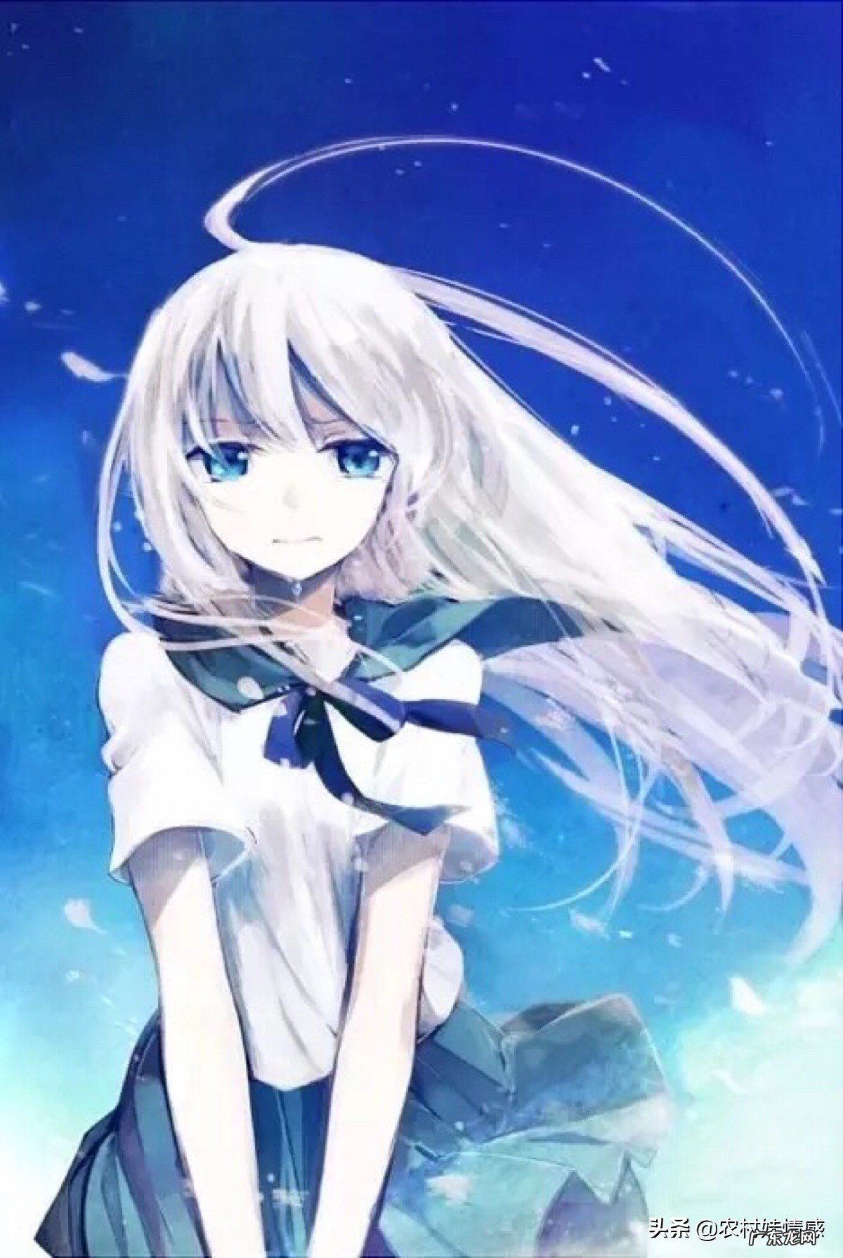 悲观厌世的句子厌世消极绝望句子 形容厌世的句子有哪些