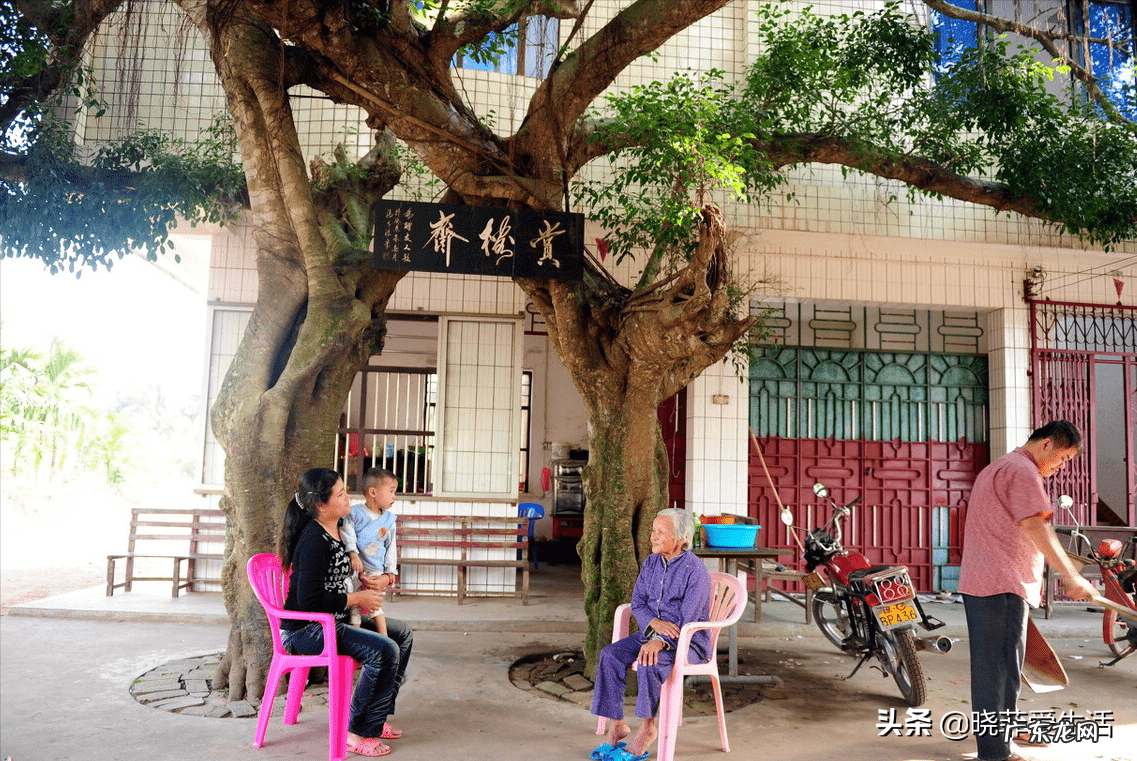 家园风水需要使用什么材料 风水宝树有哪些