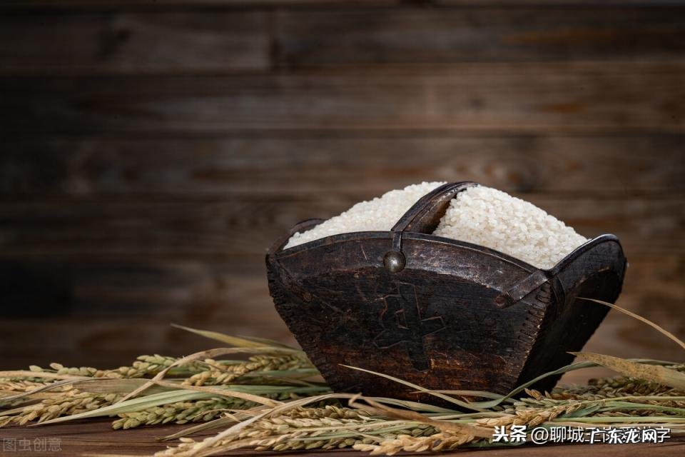 匿,这个字怎么读 匿怎么读音是什么读