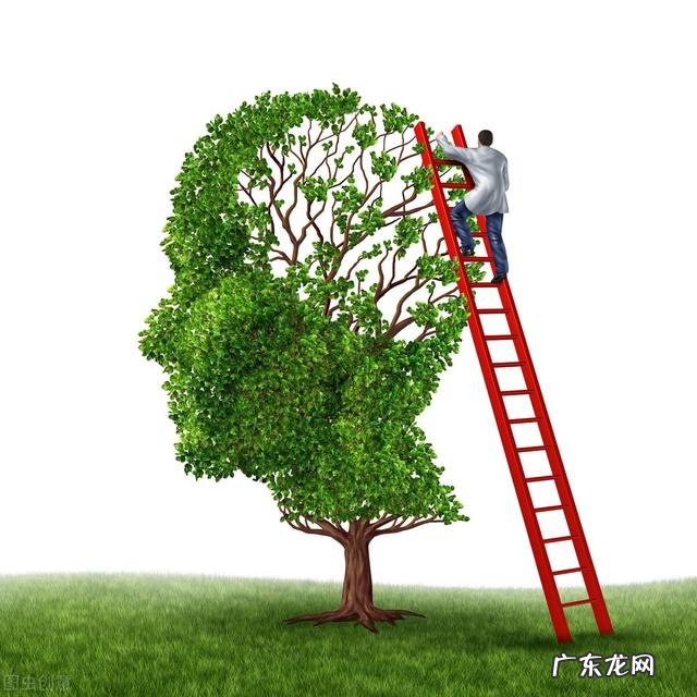 怎么开发宝宝智力 开发智力的方法有哪些