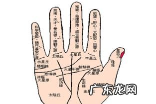 手相女右手解析旺夫 手相女人看左手还是右手图解
