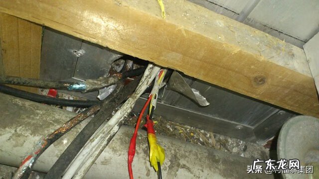 用什么堵老鼠洞 如何堵鼠洞