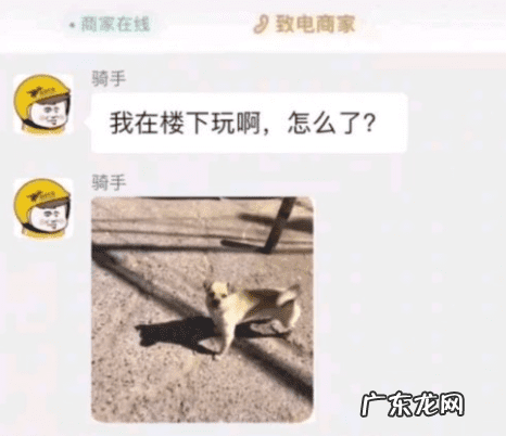 游戏网站 网上游戏