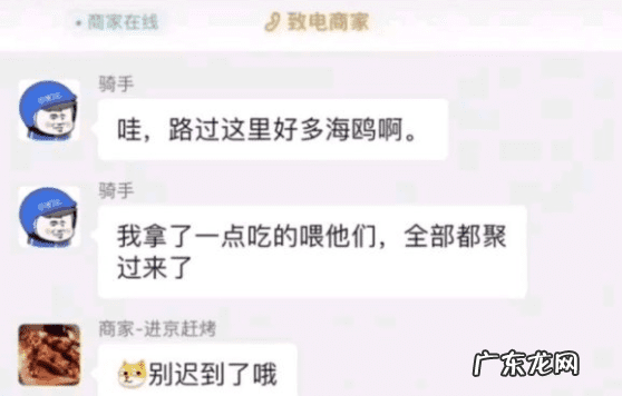 游戏网站 网上游戏