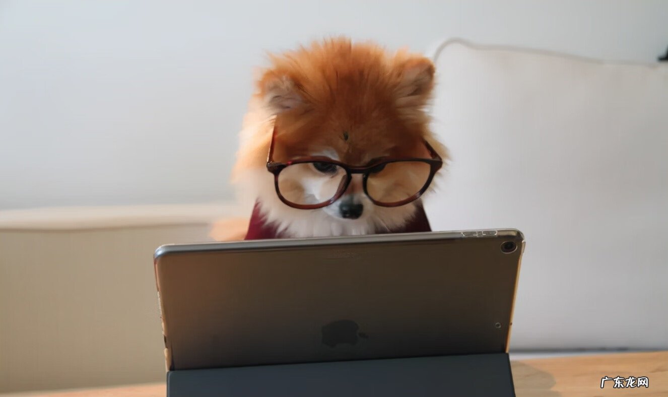 我想在家就能赚钱 怎么在家里就能赚钱