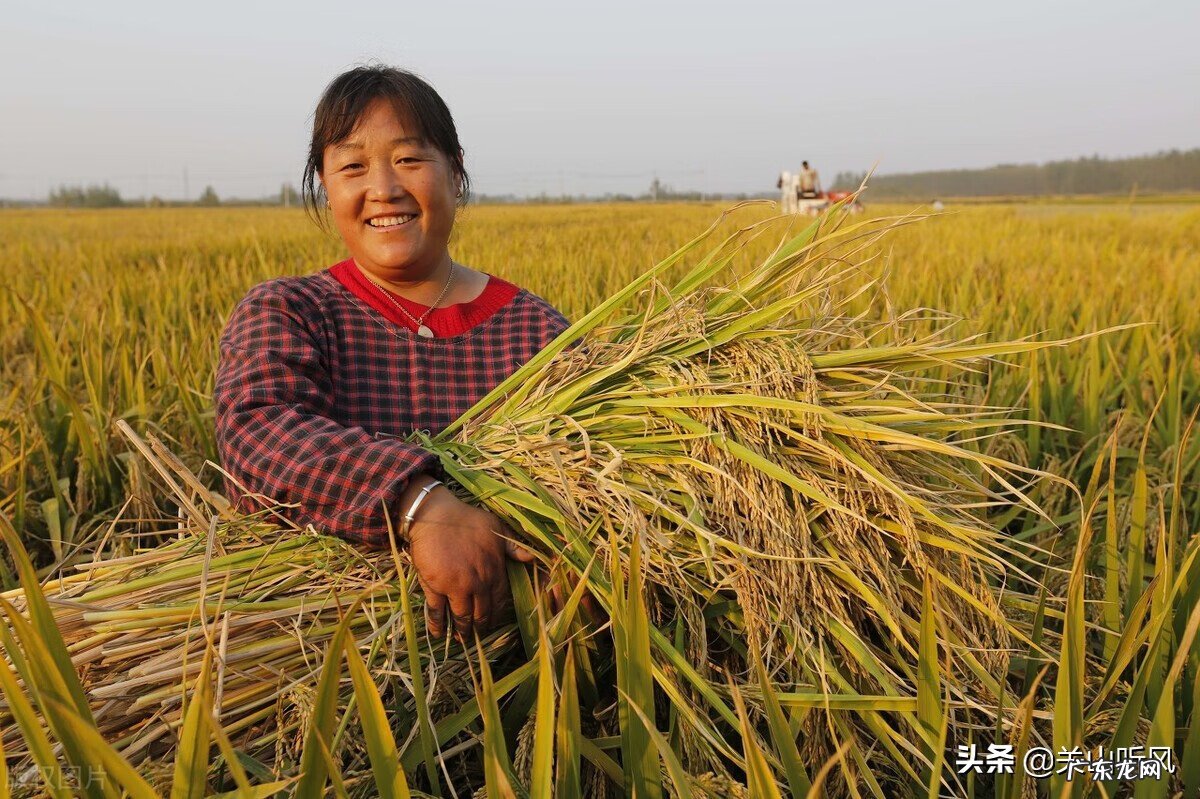 石头在风水中代表什么意思 开门见石头风水上怎么说