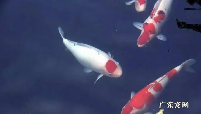 风水上的贵人是什么意思 风水出贵人的贵人指什么