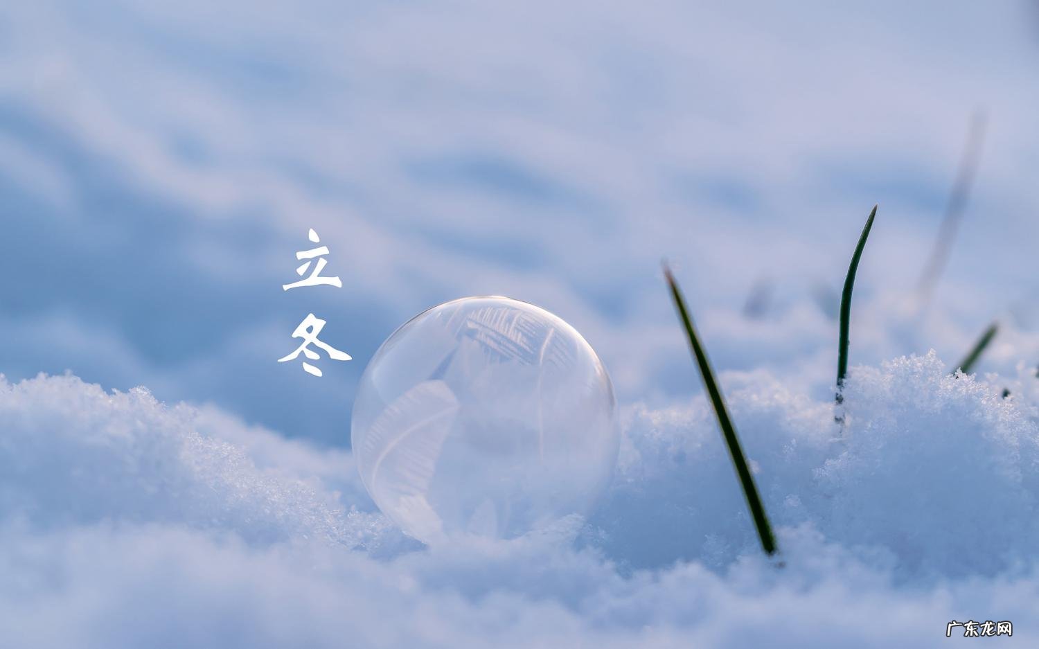 冬至节气的祝福短信 立冬节气祝福短信大全图片
